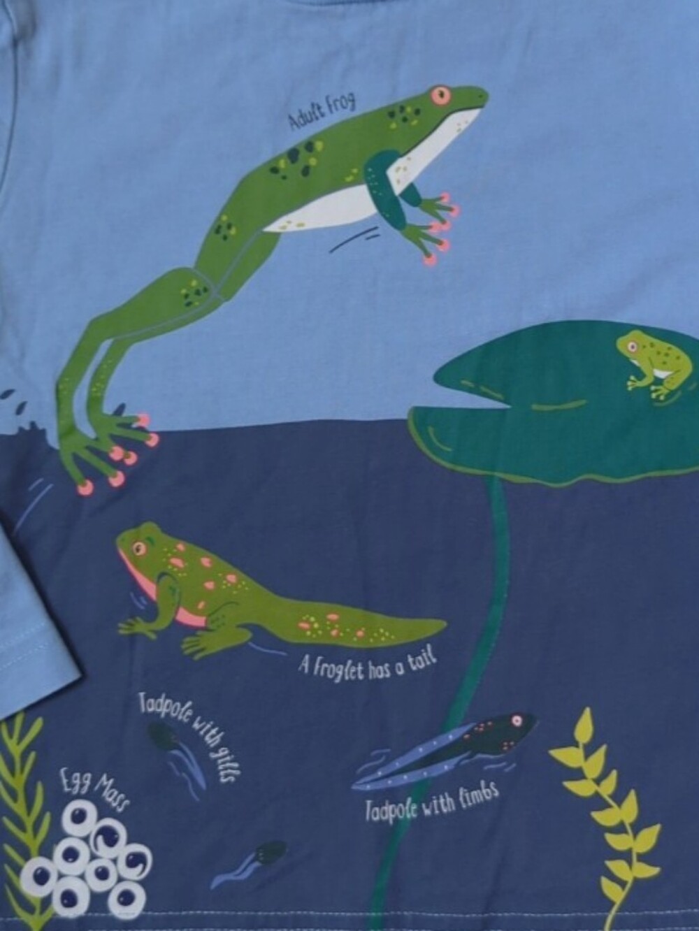 Mini Boden Light Blue & Navy Frog Pond Long-Sleeve Tee - Picture 3 of 6